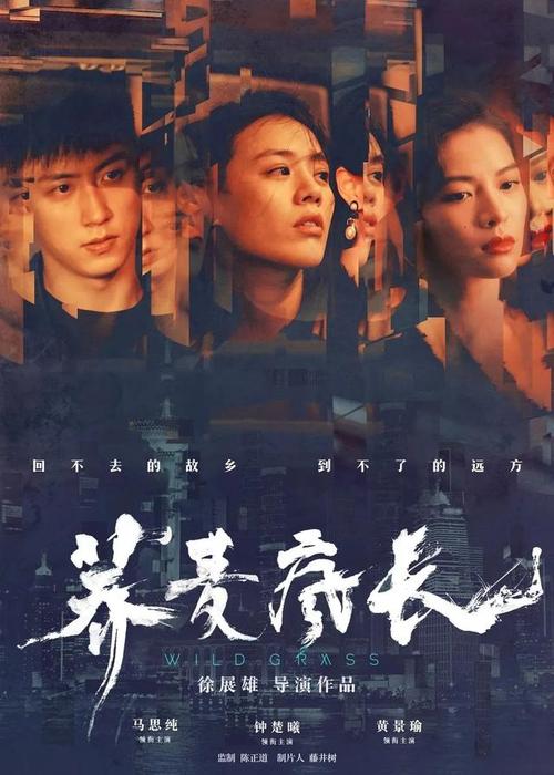 高仿墨瑞维恩学院文凭毕业证
